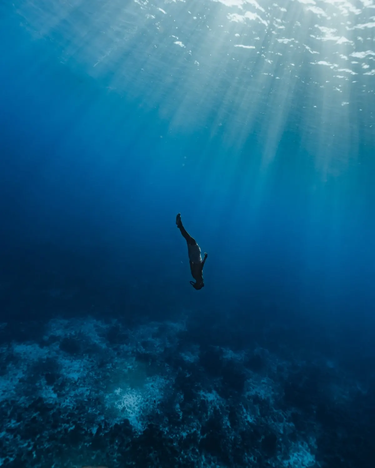 Apnéiste en immersion dans le bleu à Moorea