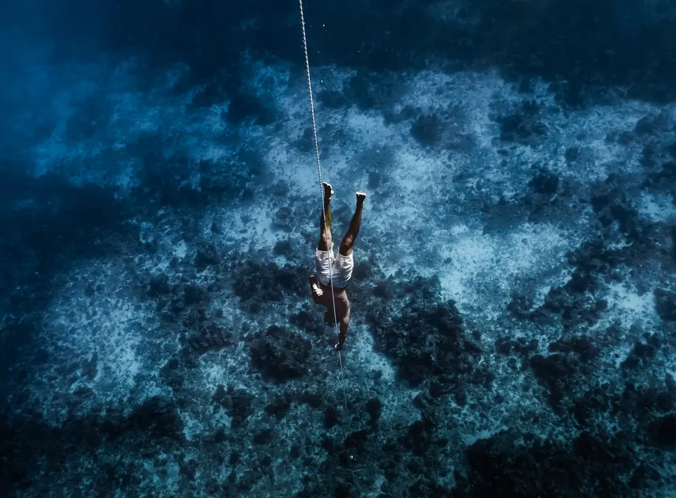 Expédition freediving en catamaran dans le grand bleu